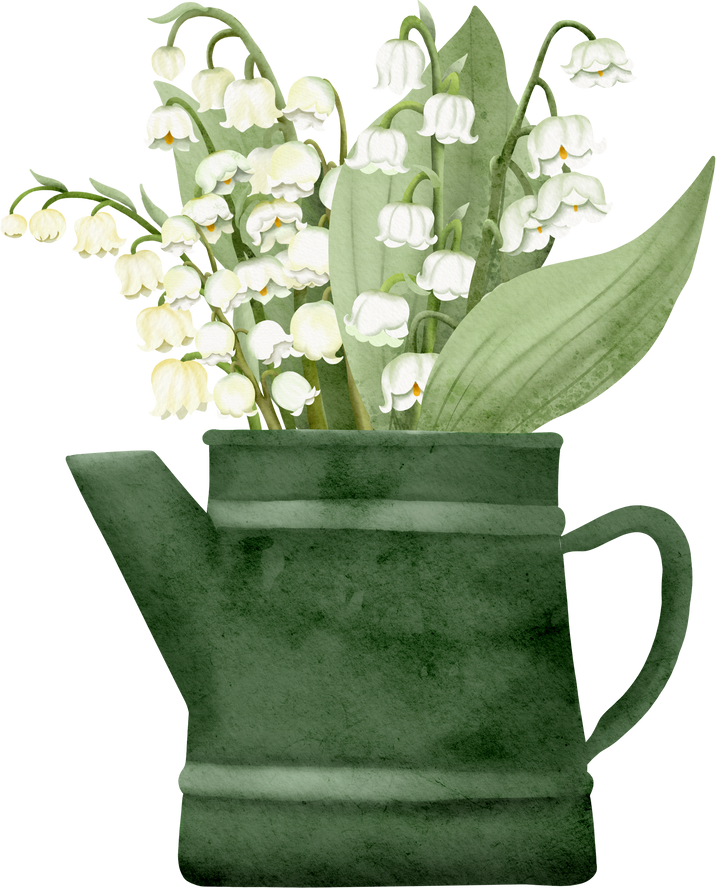 Lily Of The Valley